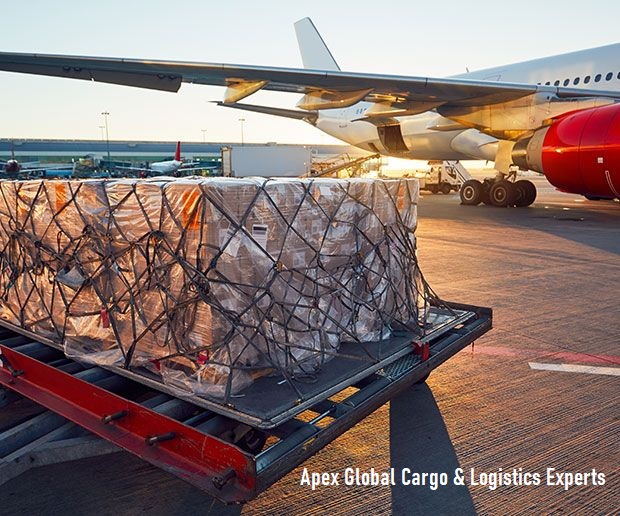 Apex Globa Air Freight Service